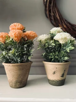 VIAMAJA Blomst i rustik potte - Hvid Online