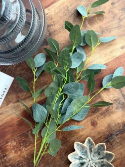 VIAMAJA Eucalyptus gren - 100cm