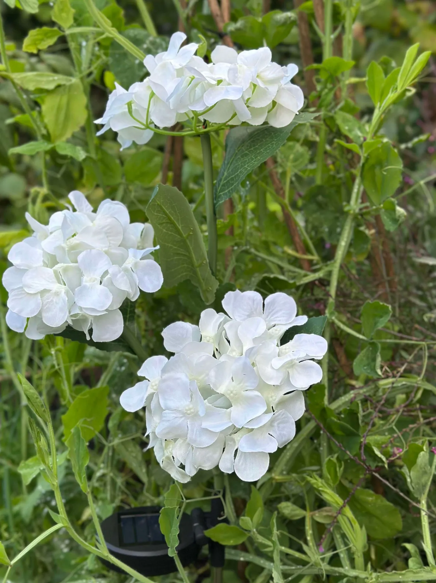 VIAMAJA Hortensia med solceller - Hvid Outlet