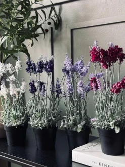 VIAMAJA Lavendel 40cm - Hvid Clearance