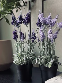 VIAMAJA Lavendel 40cm - Mørk Lilla Discount
