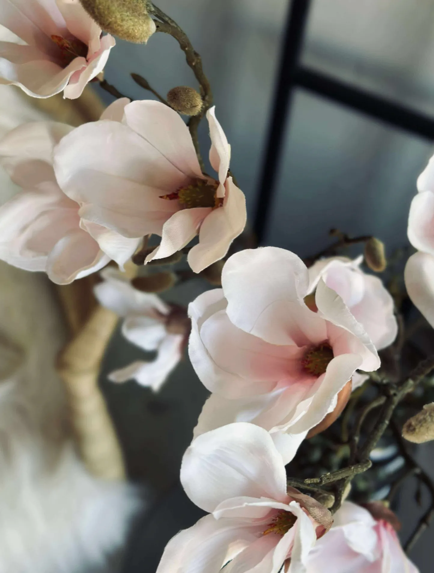 VIAMAJA Magnoliagren - Pink 52cm Best