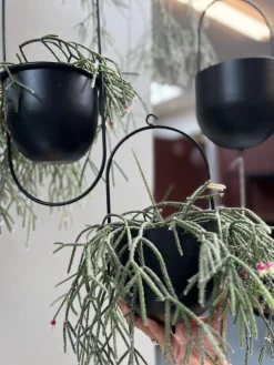 VIAMAJA Potte med ophæng - Black Discount