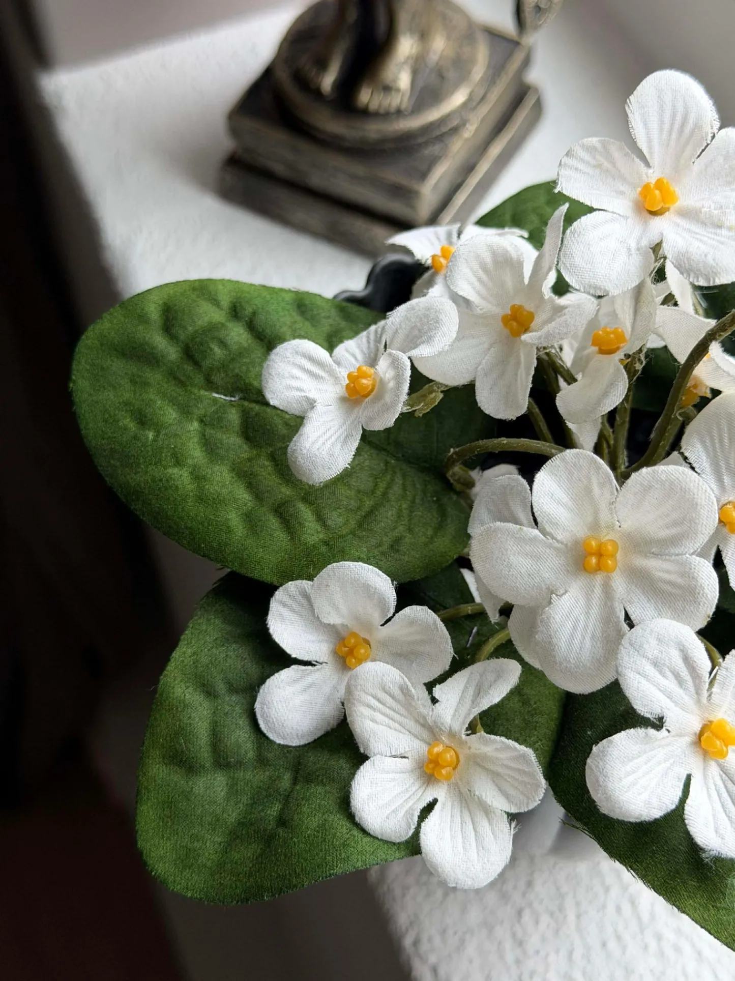 VIAMAJA Saintpaulia i potte - flere farver Clearance