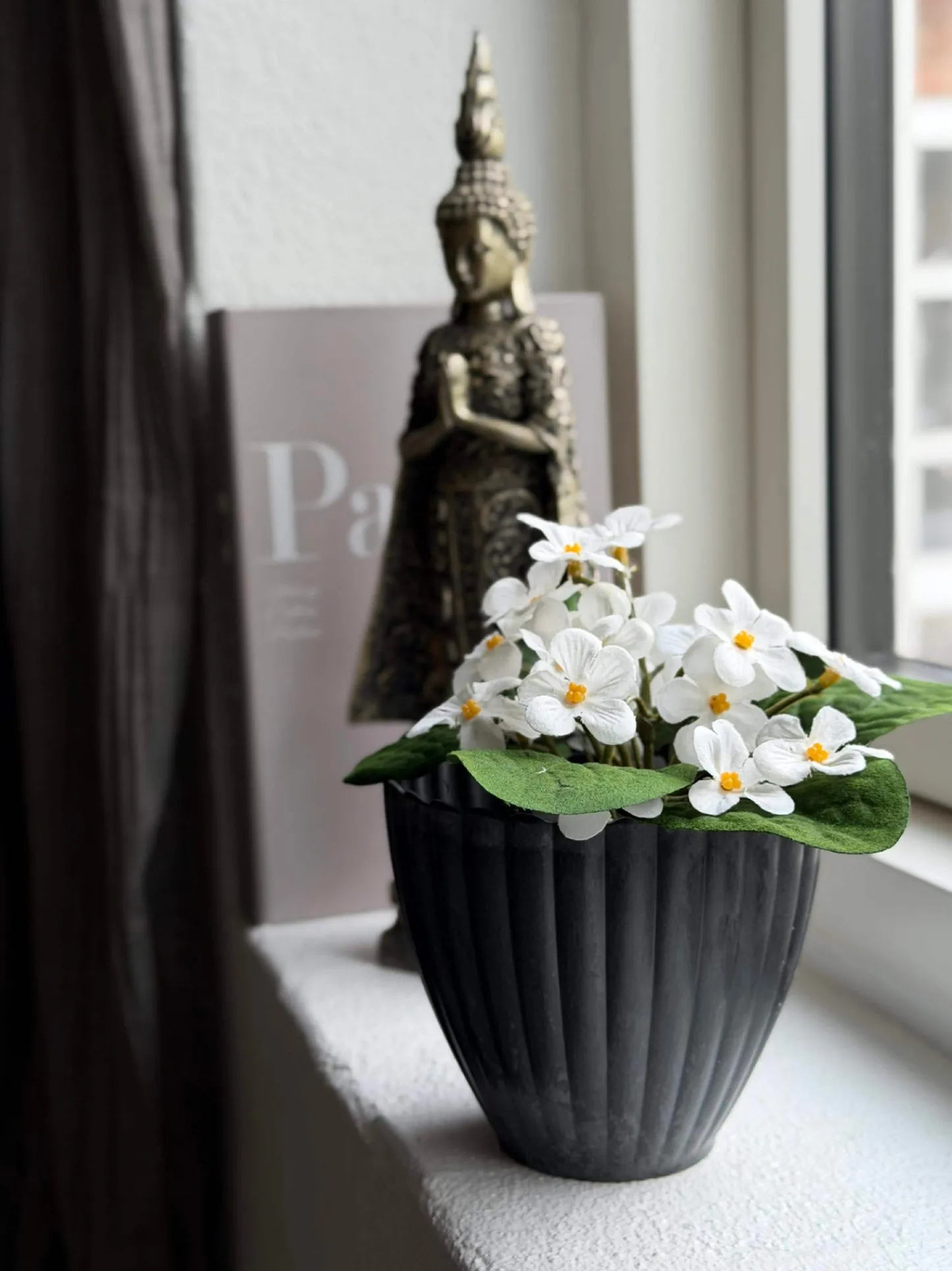 VIAMAJA Saintpaulia i potte - flere farver Clearance
